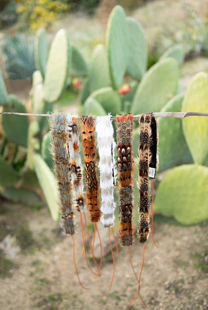 product photos of feather bands