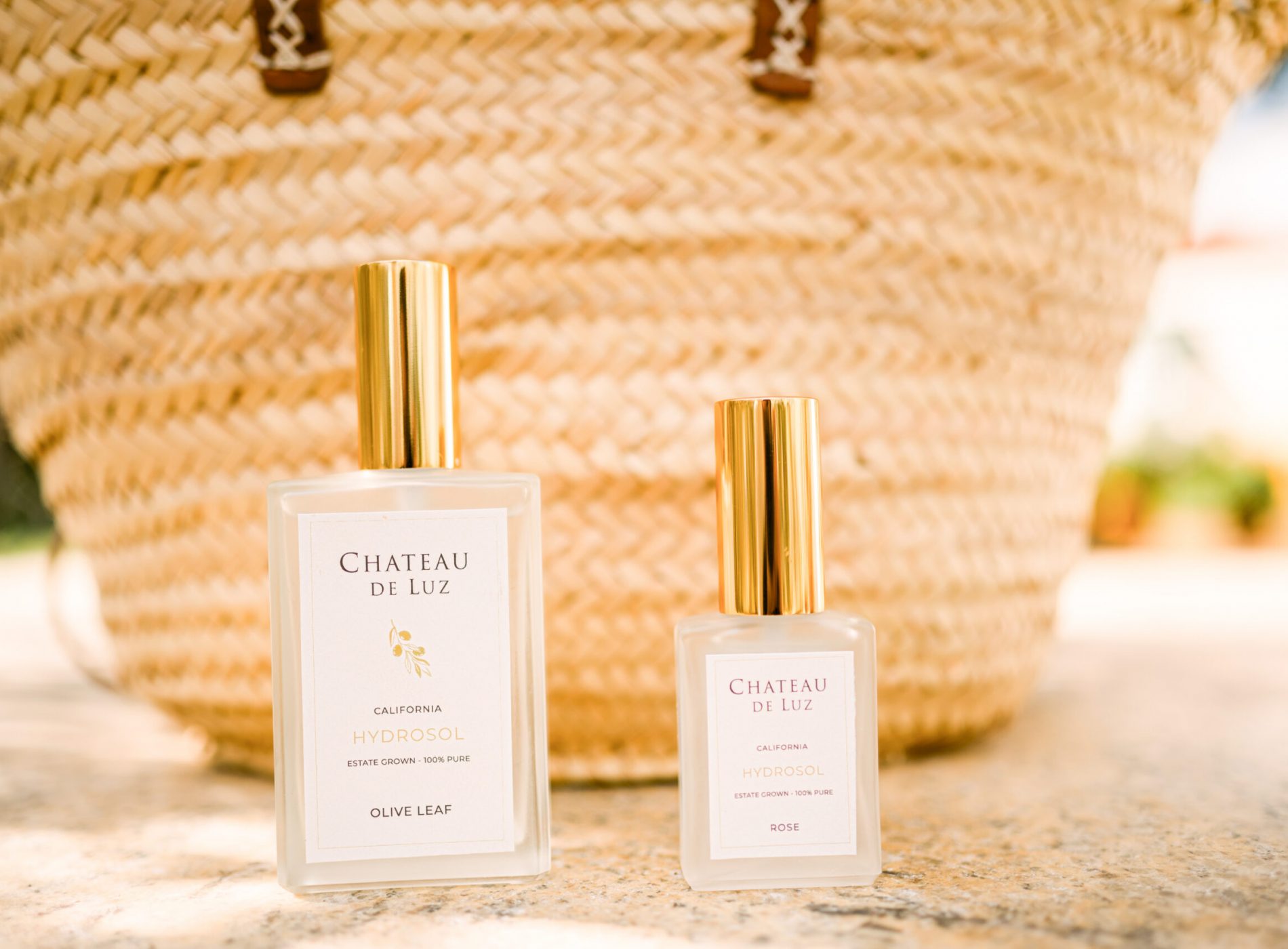 Sandra Nov Sandra Nov