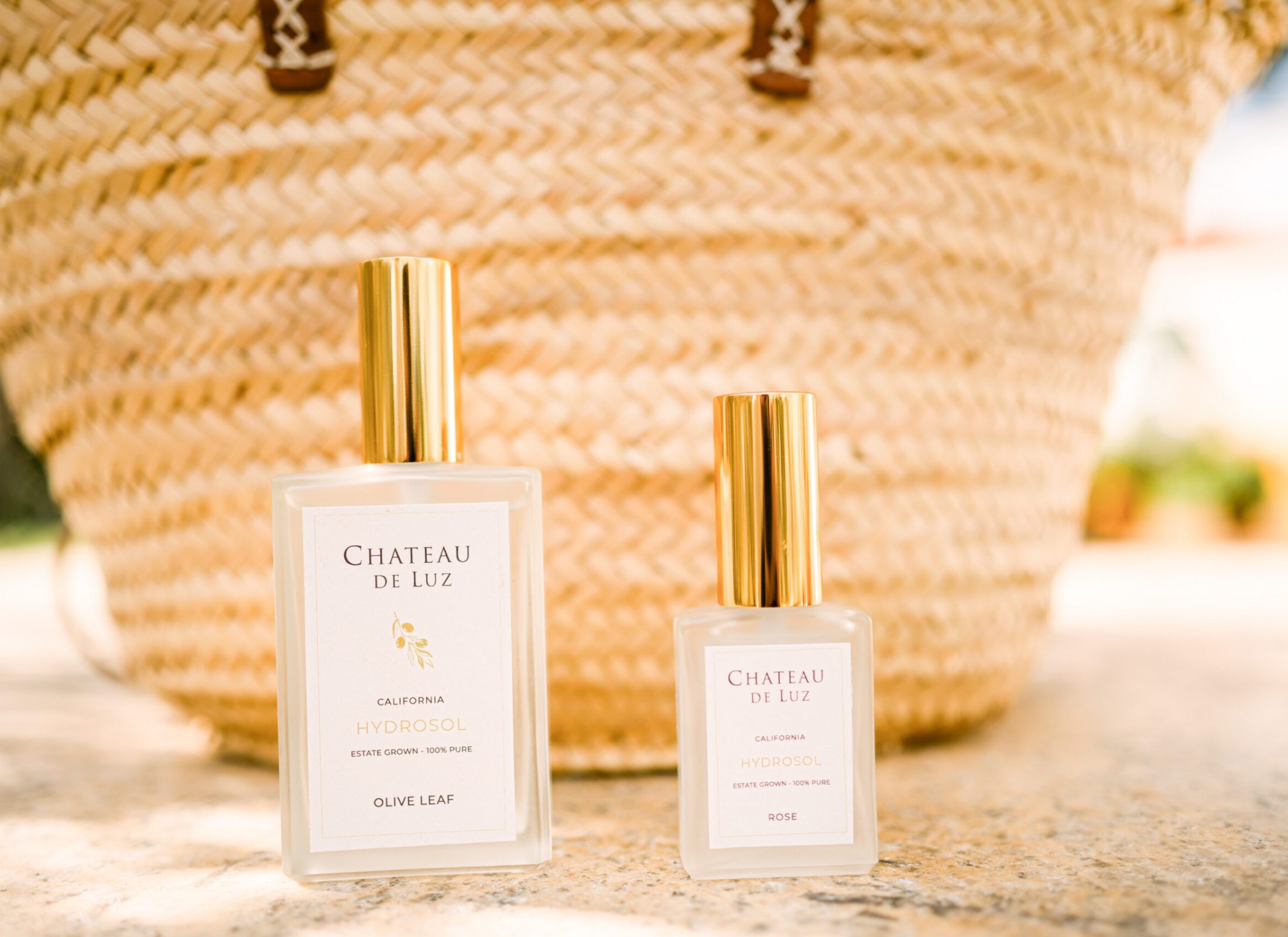 Sandra Nov Sandra Nov